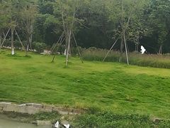 -府河摄影公园