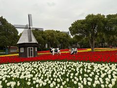 -大宁公园