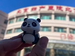 -眉州东坡(团结湖店)