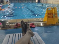 -齐汇维景大酒店游泳馆(山东政协大厦齐汇维景)