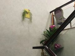 -宠爱国际动物医院·疑难骨科·心肾内科·皮肤科(太阳宫店)