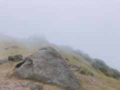 -大姆山草场