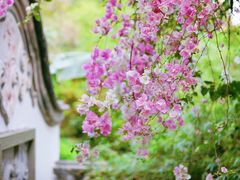 -深圳国际园林花卉博览园