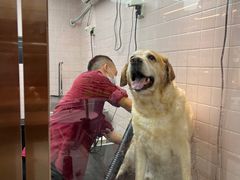 -FAELING PETS美天灵宠物(富力广场店)