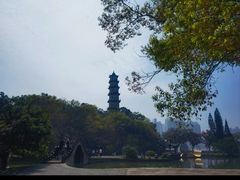 -江心屿景区