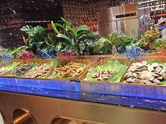 -鼎香缘海鲜自助火锅烤肉(锦辉购物广场店)