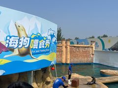 -秦皇岛乐岛海洋王国