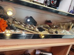 -喜上喜鸡煲翅(吉大店)