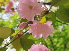 -城市运动公园(未央区)