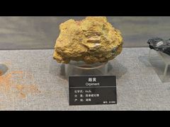 -甘肃地质博物馆