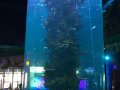 -青岛嘉年华主题乐园