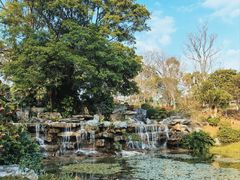 -东莞植物园
