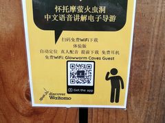 -怀托摩萤火虫洞