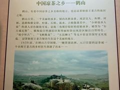 -广州神农草堂中医药博物馆