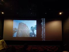 -保利国际影城杭州中南店