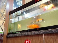 -集草轩·重庆麻辣烤鱼(西湖道店)