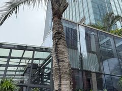 -庄子梦然·城市微度假·24h按摩·推拿·spa