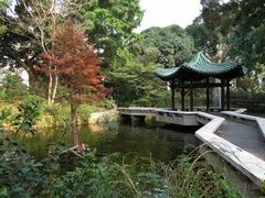 -九龙公园