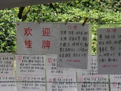 -人民公园-相亲角