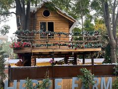 -HERRE·FARM 赫尔露营农场·团建聚会包场