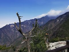 -罗田天堂寨风景区