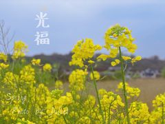 -光福景区