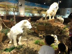 -陕西自然博物馆