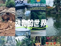 -海南热带野生动植物园