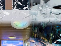 -中国湿地博物馆