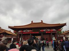 -神州牡丹园