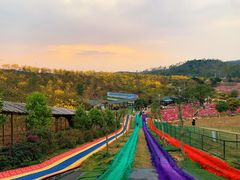 -田园寨农园观光园