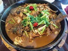 -老板恋上鱼(荣盛广场店)
