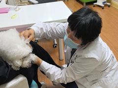 -北京观赏动物医院·24小时大型综合·猫专科·异宠专科