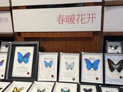 -三联韬奋书店(三里屯店)