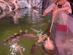 -正佳雨林生态植物园