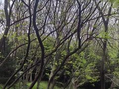 -合肥三国新城遗址公园