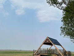 -野鸭湖国家湿地公园