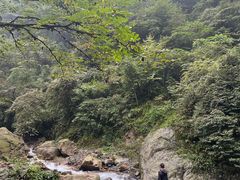 -西岭雪山大飞水景区
