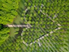 -泗洪洪泽湖湿地景区