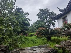 -八大山人梅湖景区