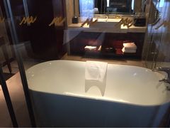 环球恐龙城维景国际大酒店-常州环球恐龙城维景国际大酒店