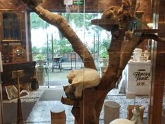 -more than meow吴止猫主题餐厅(承德 中船汇店)