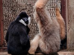 -昆明动物园