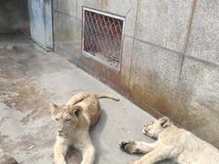 -西安秦岭野生动物园