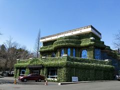 -棒棰岛宾馆景区