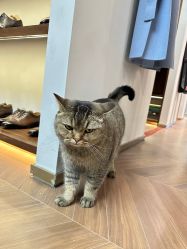 -优刻西服西装定制(金轮国际广场店)