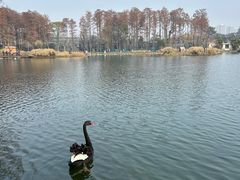 -武汉动物园
