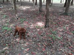 -蜀冈西峰生态公园