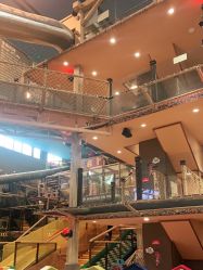 -卡通尼·Safari非洲探索乐园·生日会(金桥国际商业广场店)