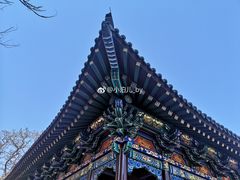 -护国法轮寺